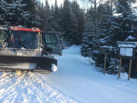 Jøndalsvangen 6.jan 16